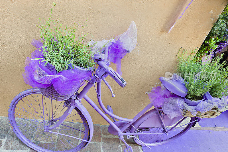淡紫色的自行车