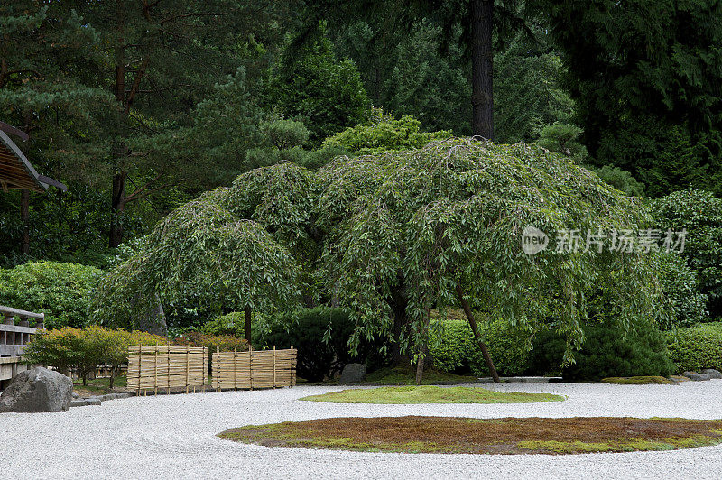 日本平坦的花园树木灌木俄勒冈州波特兰