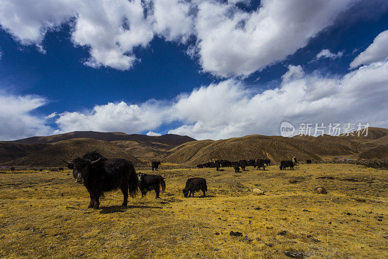 西藏景观，西藏，中国。