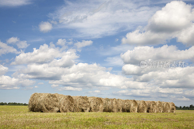 农田里的稻草捆，蓝天多云