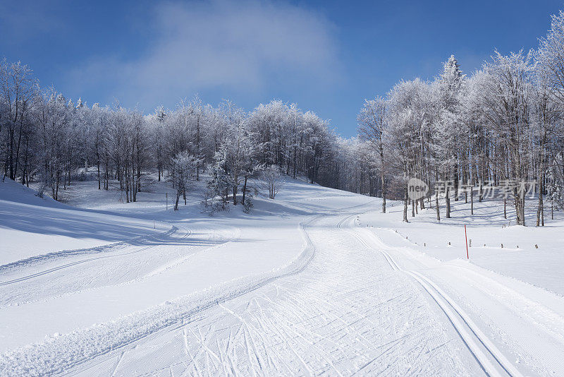 冬季场景与越野滑雪跑道斯洛文尼亚