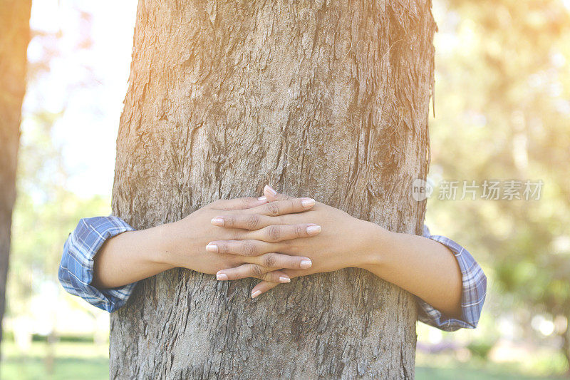 女人拥抱大树色的时髦色调