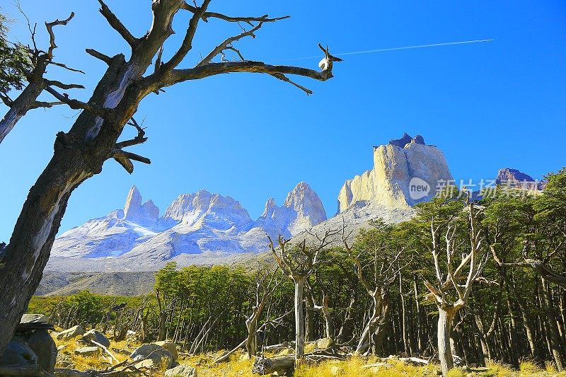 奎尔诺斯德尔佩恩法国山谷峰，智利巴塔哥尼亚森林景观