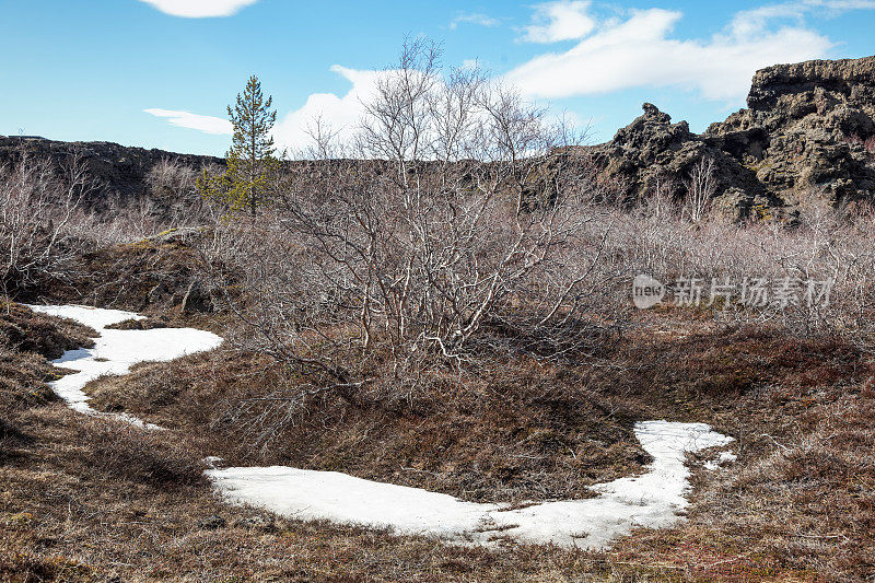 Dimmuborgir——冰岛著名的风景