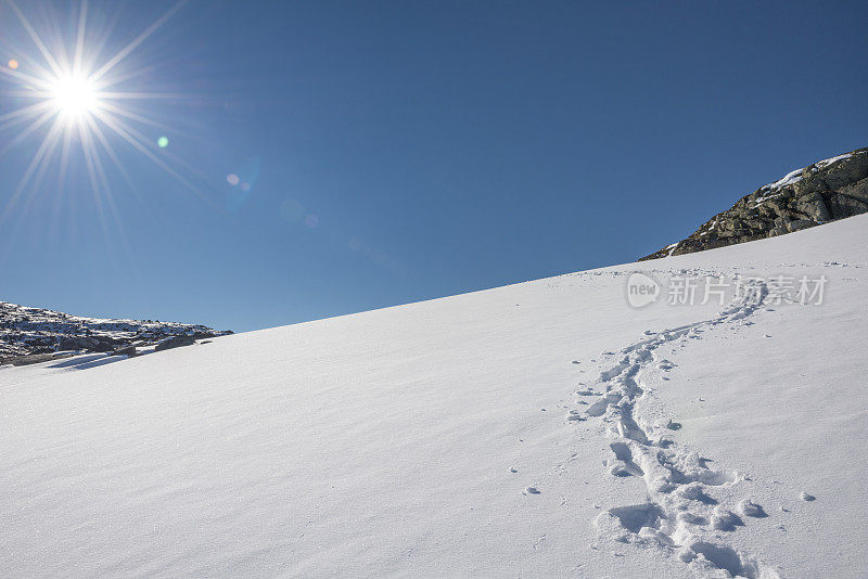 约顿海门国家公园冰川上雪地上的脚印