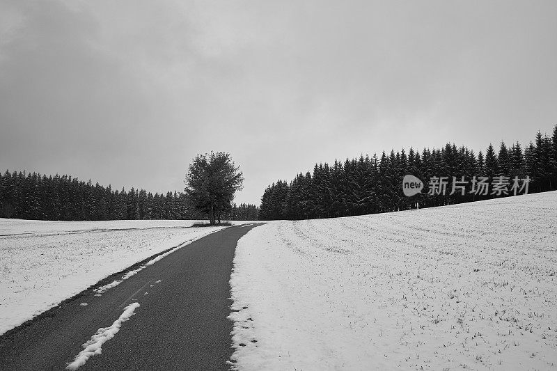 冬天的第一场雪与街道森林