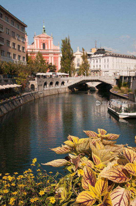 总统的告别,Slovenia