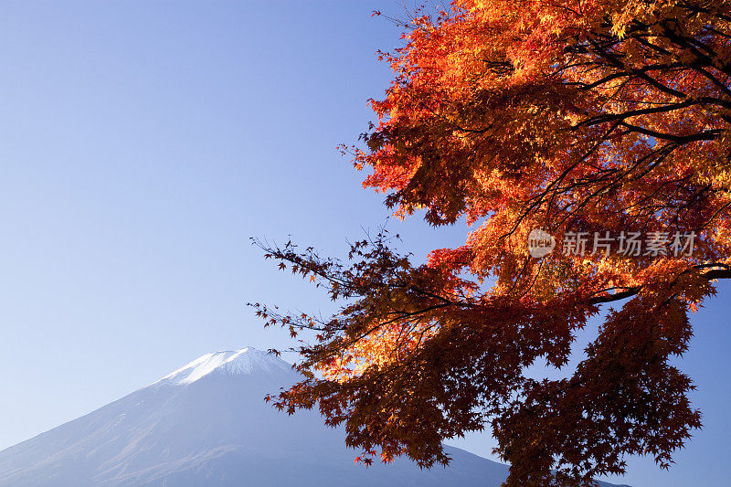 秋天的富士山