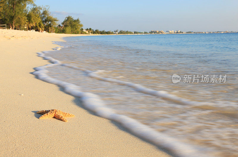 海滩风景