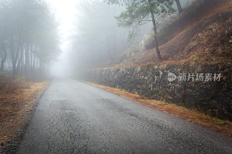 森林路上有雾