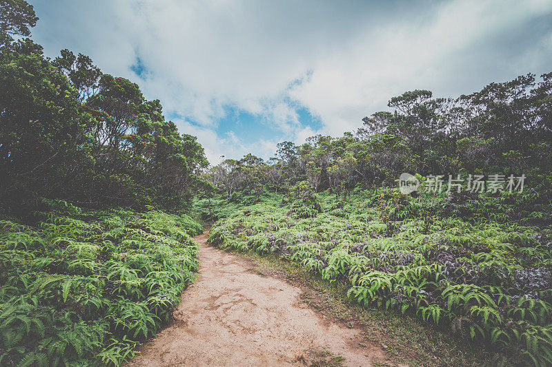 夏威夷考艾岛的皮厄徒步旅行路线