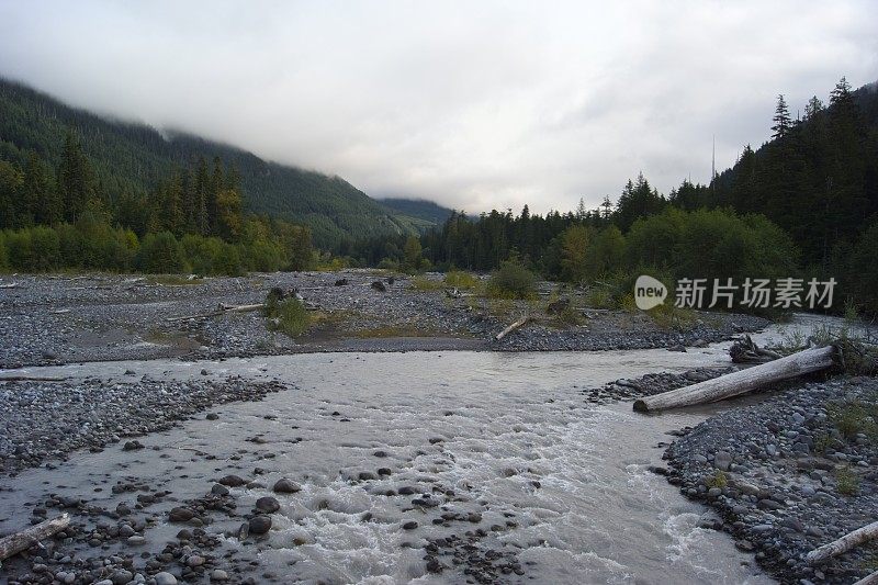 雷尼尔山的碳河