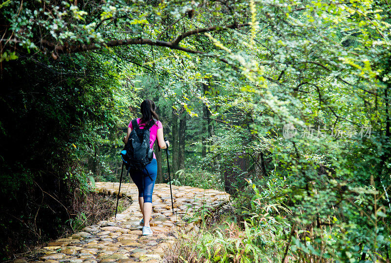 在树林里背着背包的年轻女性徒步旅行者