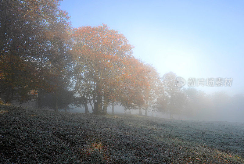 瑞士汝拉的风景在雾中