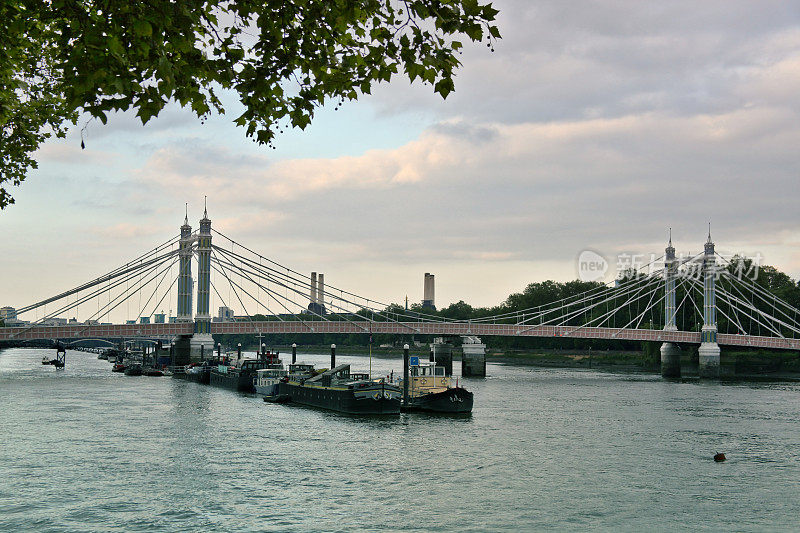 伦敦的阿尔伯特桥