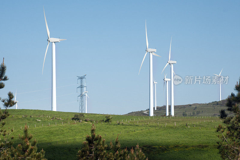 风力涡轮机对绿色景观，替代能源，环境保护。