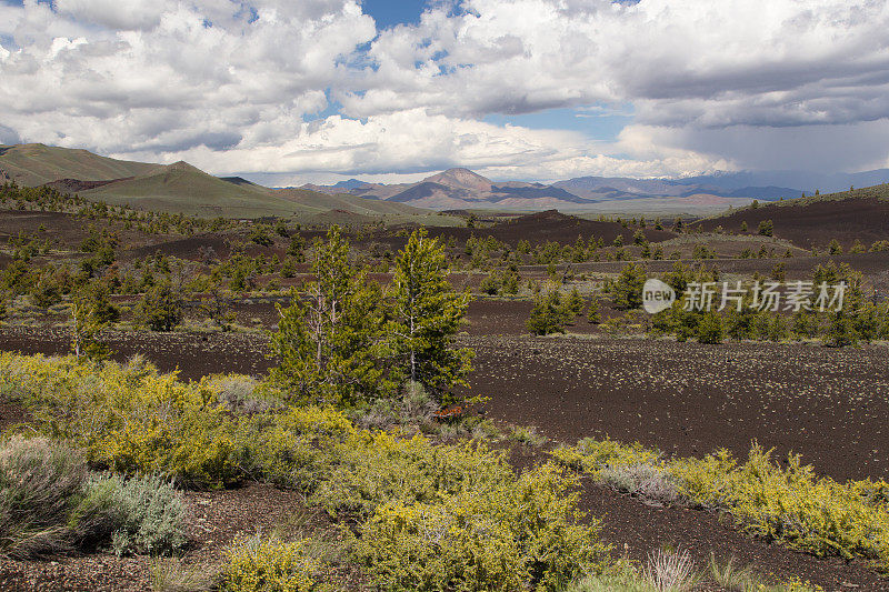 爱达荷州的春天的风景