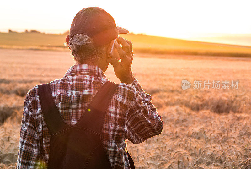 农民在麦田里用智能手机通话