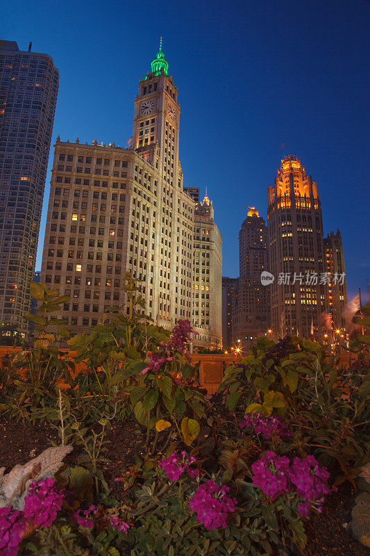 芝加哥的夜景