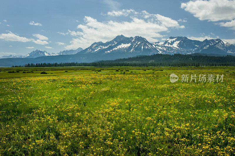 锯齿山脉和草地