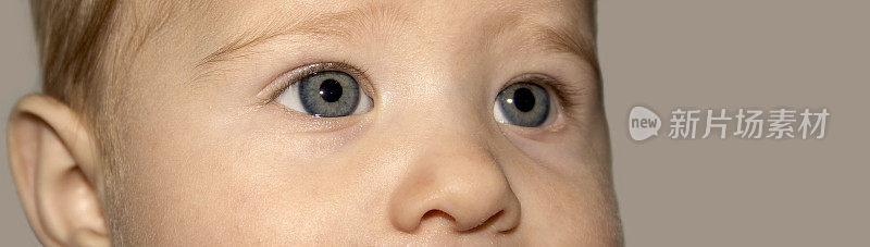 婴儿的眼睛