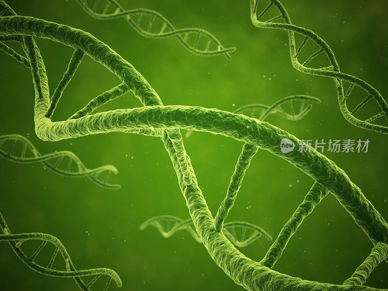 DNA链漂浮在一种绿色液体中