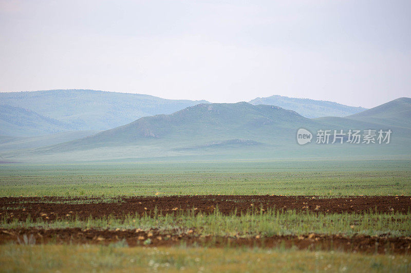 蒙古:胡斯泰国家公园