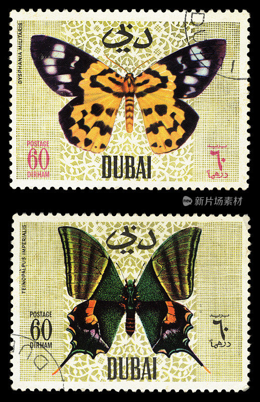 迪拜的邮票