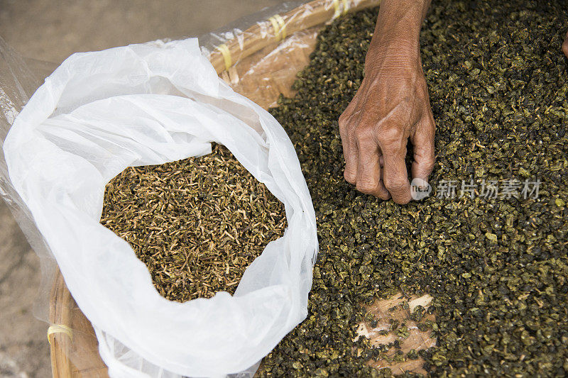 在泰国清莱，一名老妇人用手挑选干茶叶