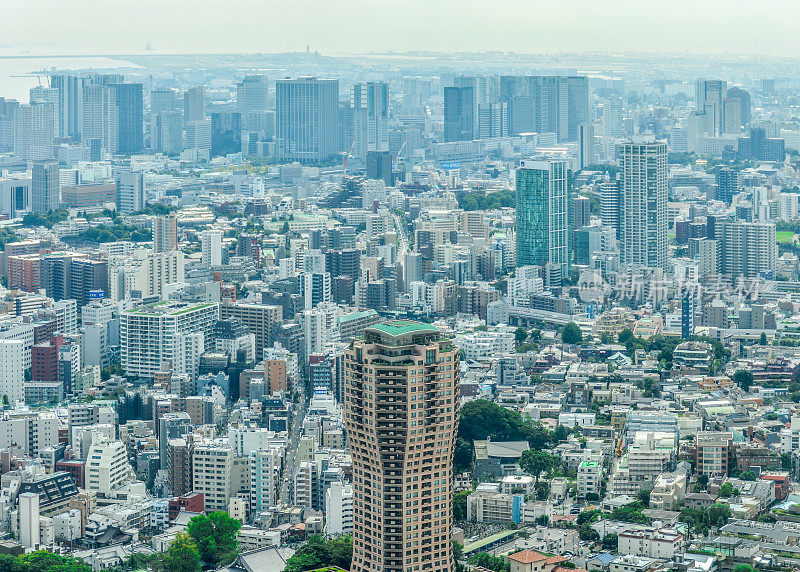 东京城市城市