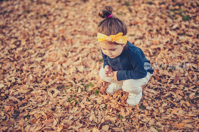 可爱的女孩正看着满是秋叶的地面
