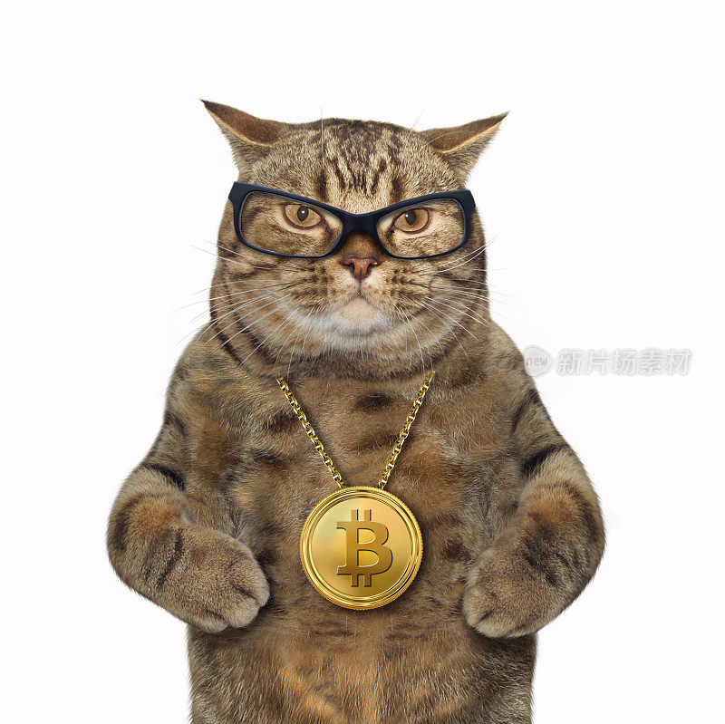 猫与比特币奖章
