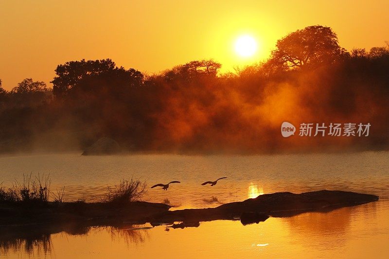 日出日落非洲橙色的天空河水雾反射野