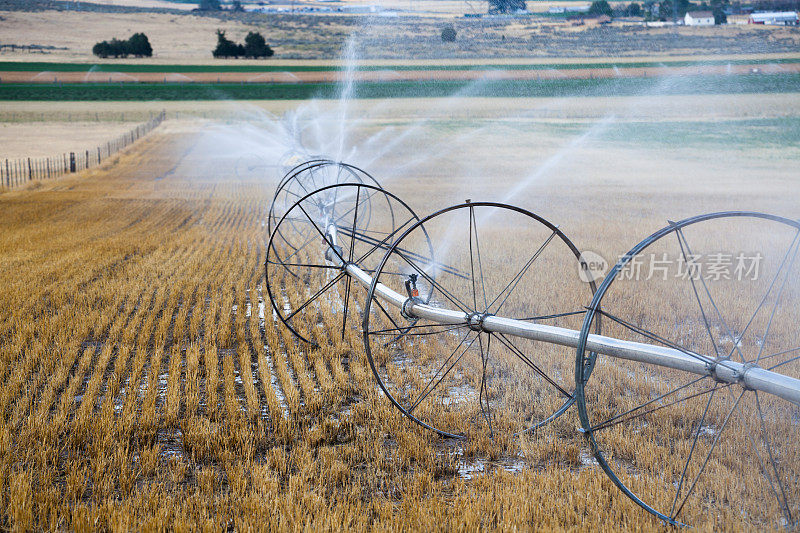 洒水灌溉设备在炎热的尘土飞扬的犹他州农田
