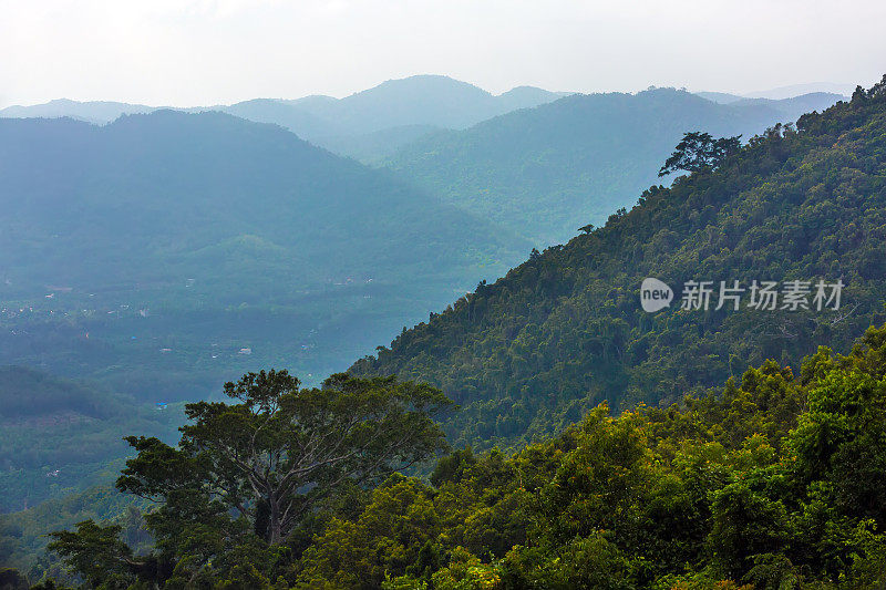 雨林的坡度。Yanoda雨林。海南,中国。