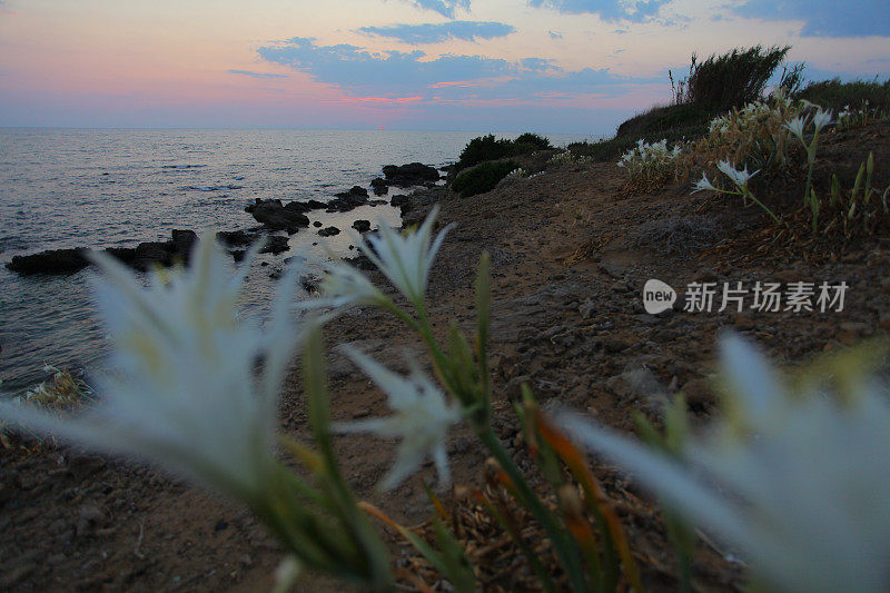 日落海岸