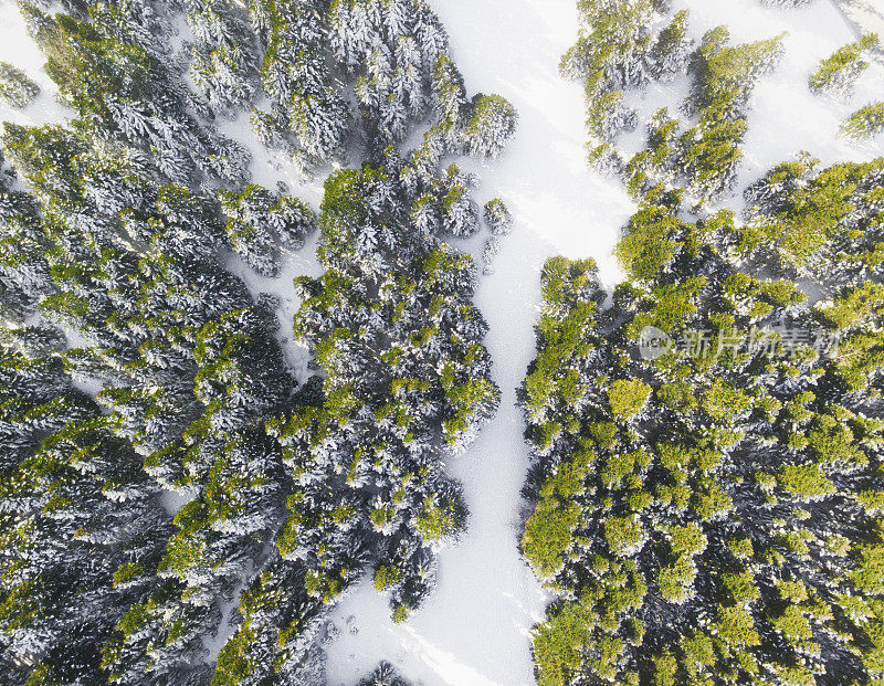 雪域冬季森林与鸟瞰