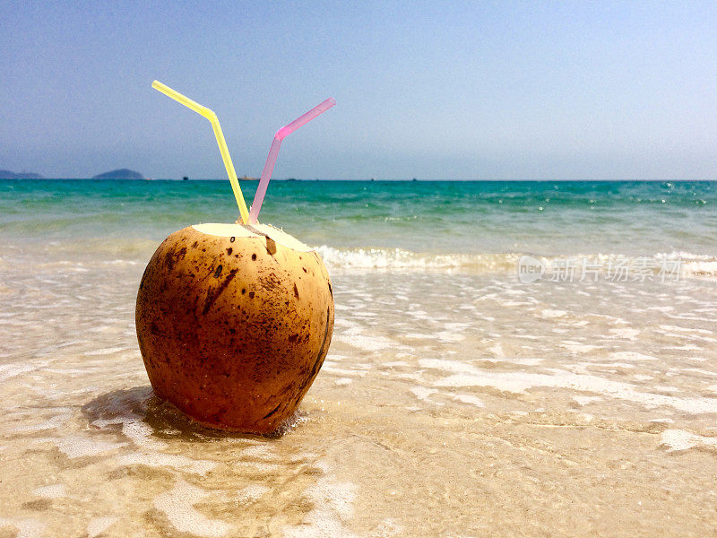 椰子在海上风景