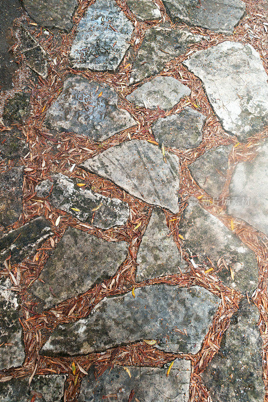 天然石材马赛克地板