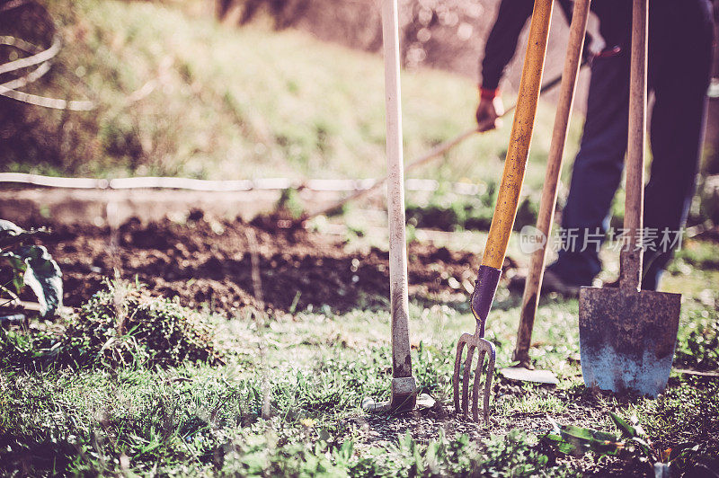 在菜园里用园艺工具工作的人