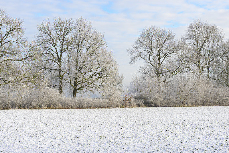 在一个美丽的冬日里，有霜冻的景色