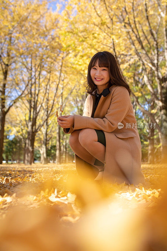 年轻女子坐在银杏叶地毯上