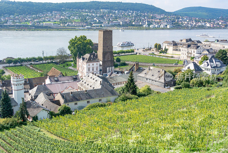 葡萄园在低森林纪念碑纪念碑Rüdesheim，德国