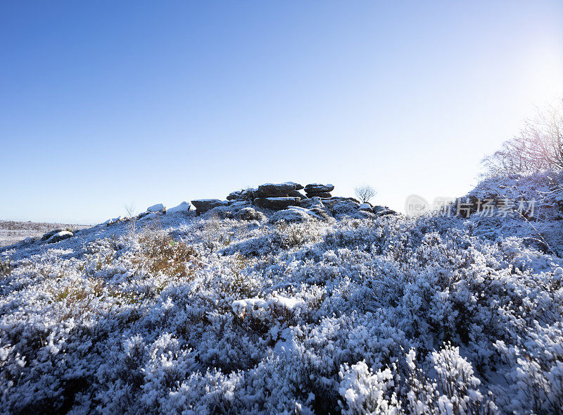 冬天的低太阳与阴影和蓝天在下雪的英格兰约克郡乡村与树木