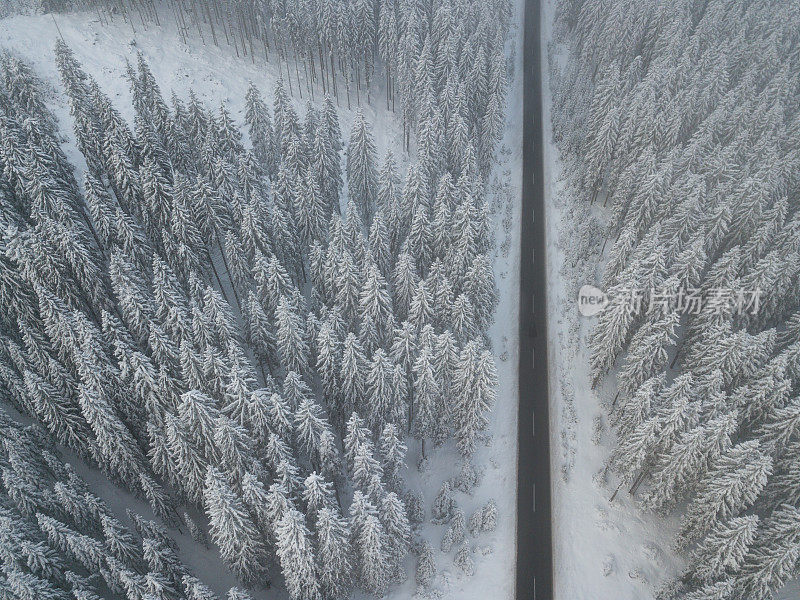 道路穿过冬天积雪覆盖的森林