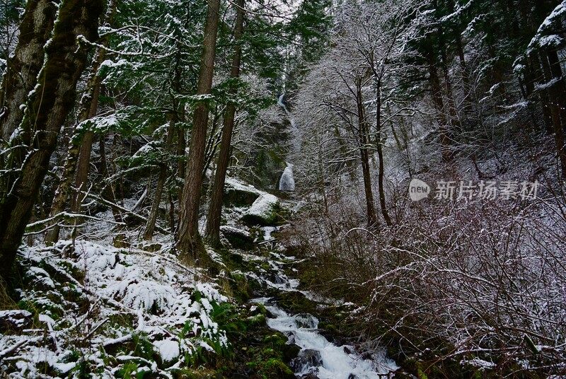 哥伦比亚峡谷泉水