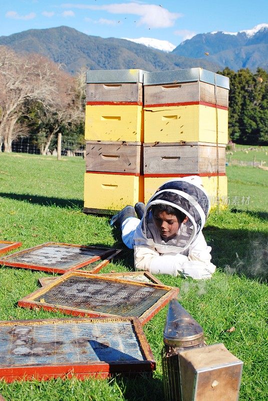 穿着蜜蜂服的孩子在照看他的蜂箱