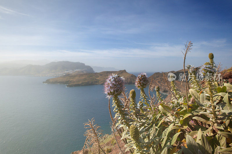 马德拉岛的海岸特征