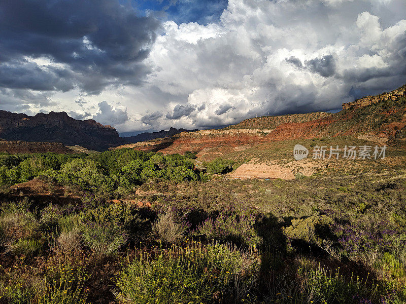 暴风云在山艾树和维珍河谷上空升起，背景是犹他州锡安国家公园