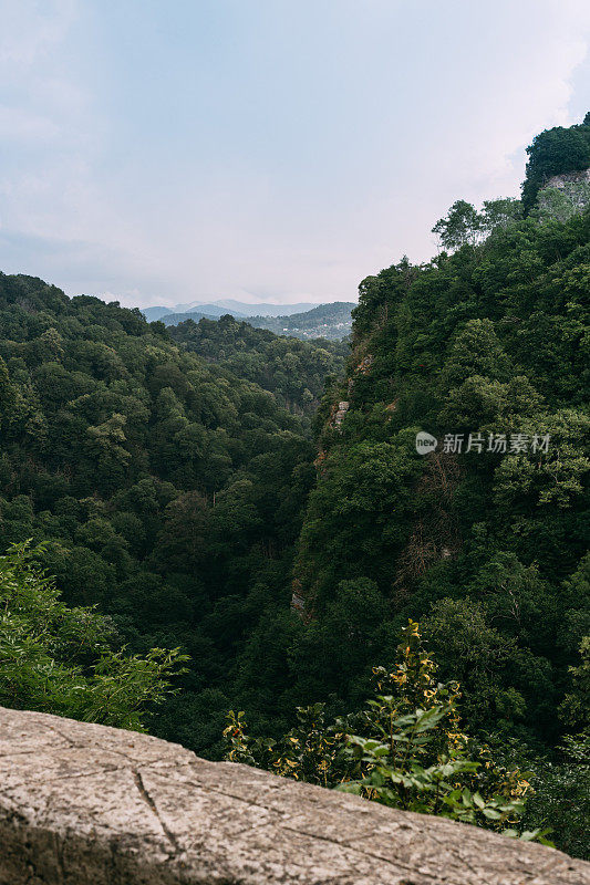 俄罗斯索契霍斯塔区高加索生物圈保护区紫杨黄杨树林大圈的热门旅游路线。